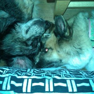 Meet your Posher, Leath